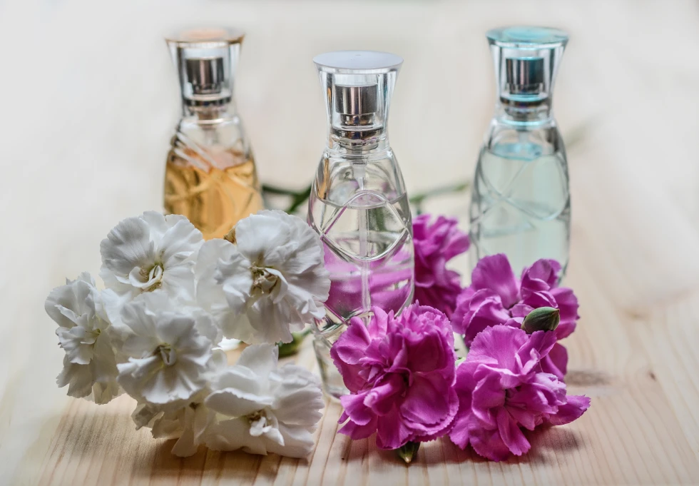 Divi perfume store products